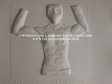 tactile mind diagram 2, by Lisa J. Murphy. Tactile picture of a naked male torso. 