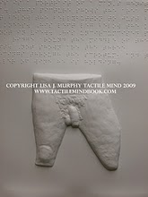 tactile mind diagram 11, by Lisa J. Murphy. Tactile picture of a man's groin area. 