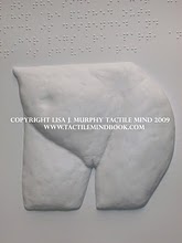 tactile mind diagram 16, by Lisa J. Murphy. Tactile picture of a woman's groin area. 