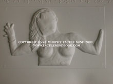tactile mind diagram 8, by Lisa J. Murphy. Tactile picture of a woman's naked chest. 